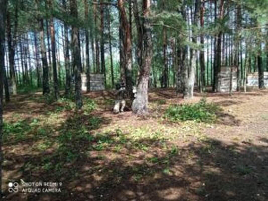 Las idealny dla dzieci organizujących urodziny z ciekawymi scenariuszami paintball.